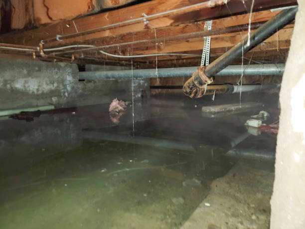 Best Flooded house restoration  in Springtown, TX