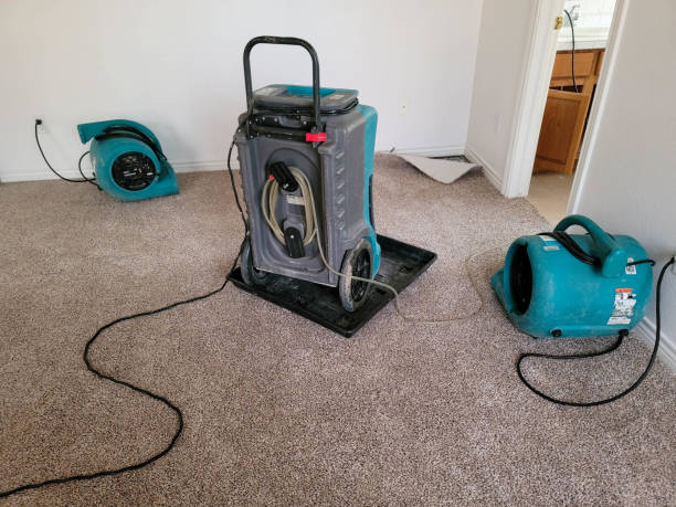 Best Mold removal after water damage  in Springtown, TX