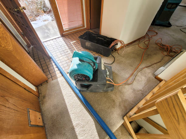 Best Water damage cleanup near me  in Springtown, TX