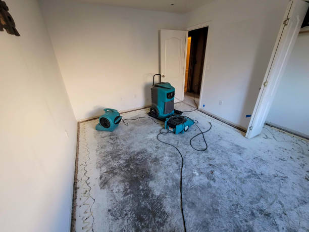 Best 24-hour water damage restoration  in Springtown, TX