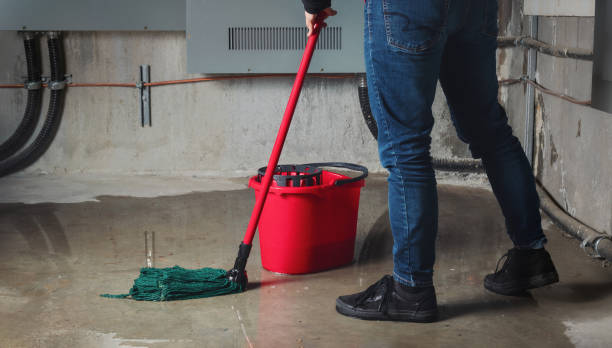 Best Water damage restoration near me  in Springtown, TX