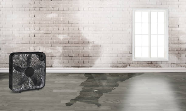  Springtown, TX Water damage restoration Pros