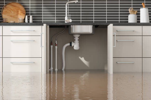 Best Water damage contractors near me  in Springtown, TX