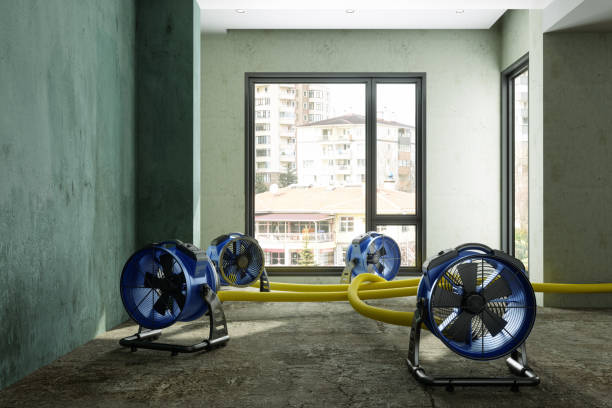 Best Emergency water damage restoration  in Springtown, TX